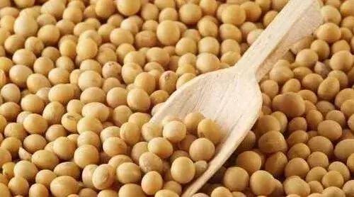黑龙江大豆价格最新行情揭秘，科技引领市场脉动体验报告