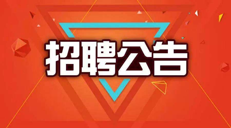 招聘与求职步骤指南