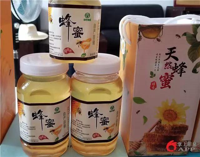 新华字典最新版，开启智慧之门，体验学习与变化的魅力