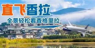 正源股份最新动态，小巷中的独特风味探索之旅