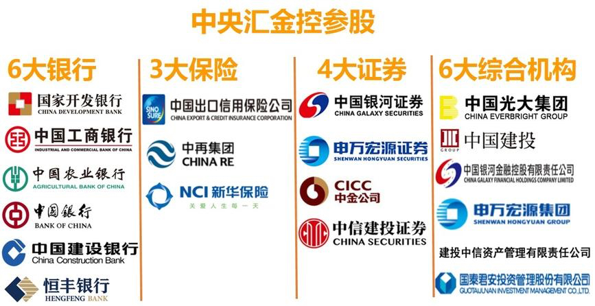 中央汇金最新持股名单深度解析与案例分析