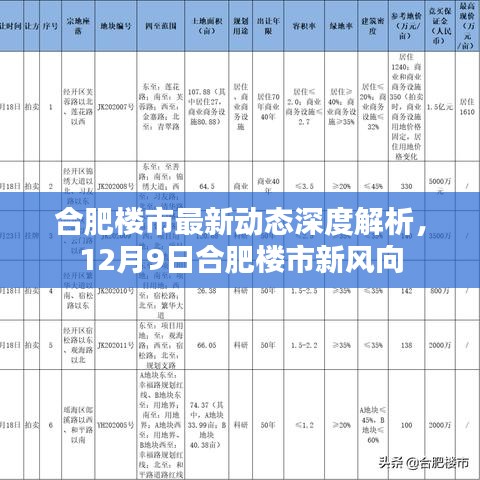 合肥最新动态获取指南，轻松掌握城市最新消息动态