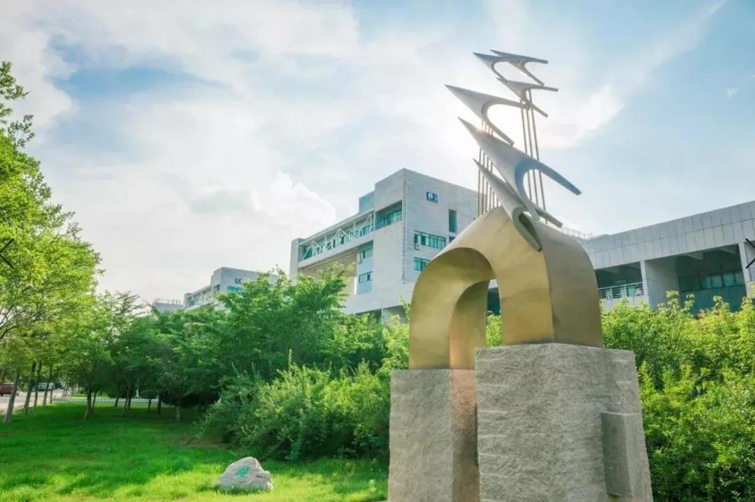 回顾与探析，最新显卡天梯图在计算机领域中的地位及影响