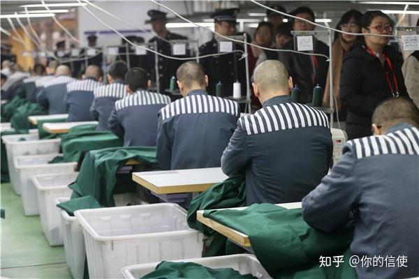 服刑人员减刑最新规定下的温馨故事涌现