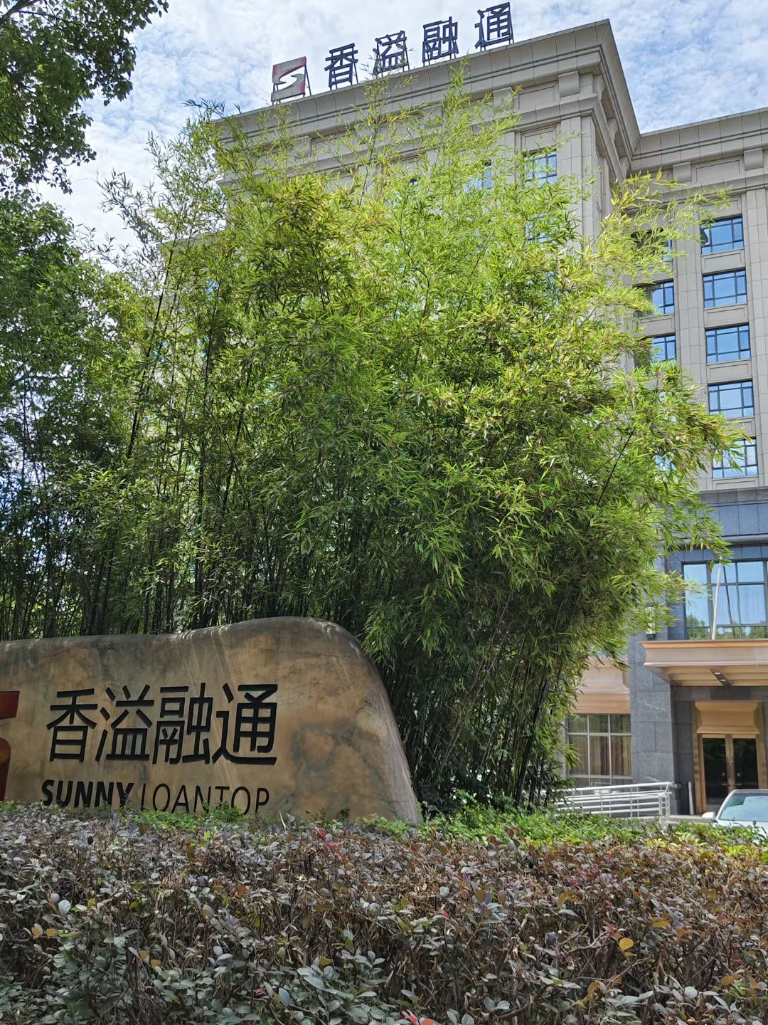 香溢融通最新动态，操作指南与技能学习步骤全解析