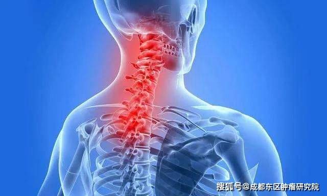 中国脊髓损伤最新治疗，探索心灵之旅的重生之路
