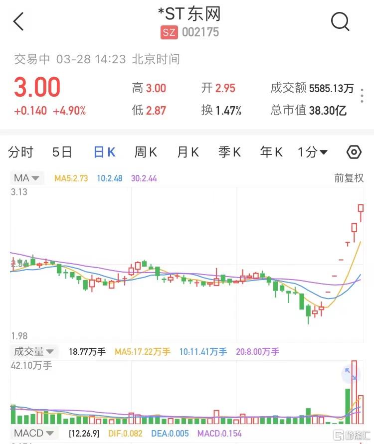 🌟ST东网最新概况分析🌟