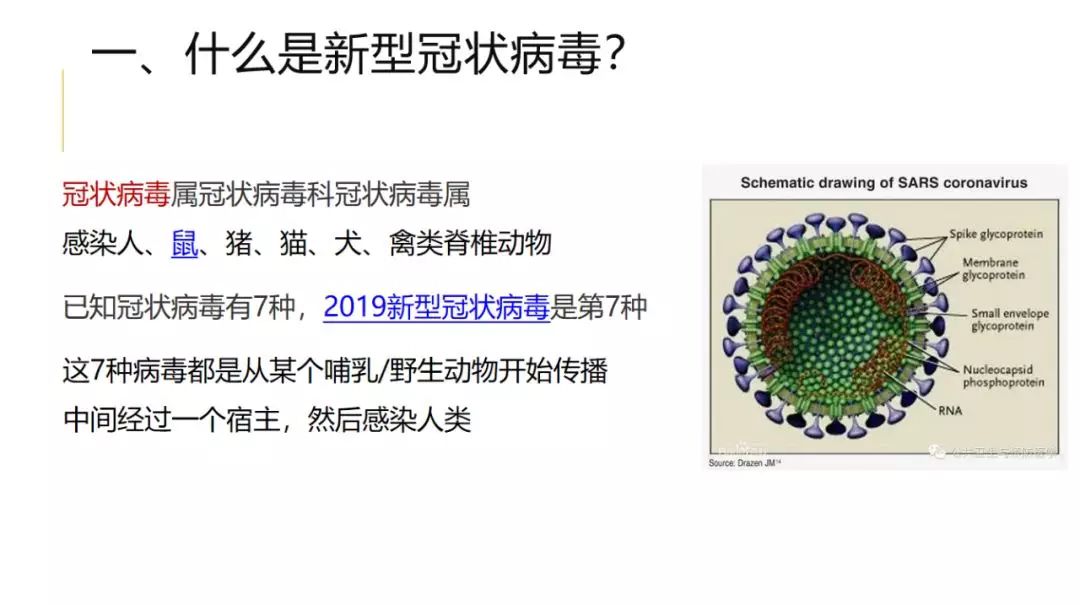 观点论述与解析