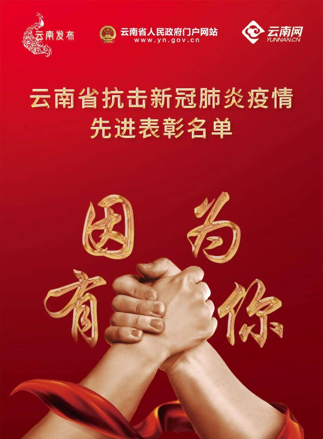 云南新型肺炎最新动态，展现坚韧与希望之光