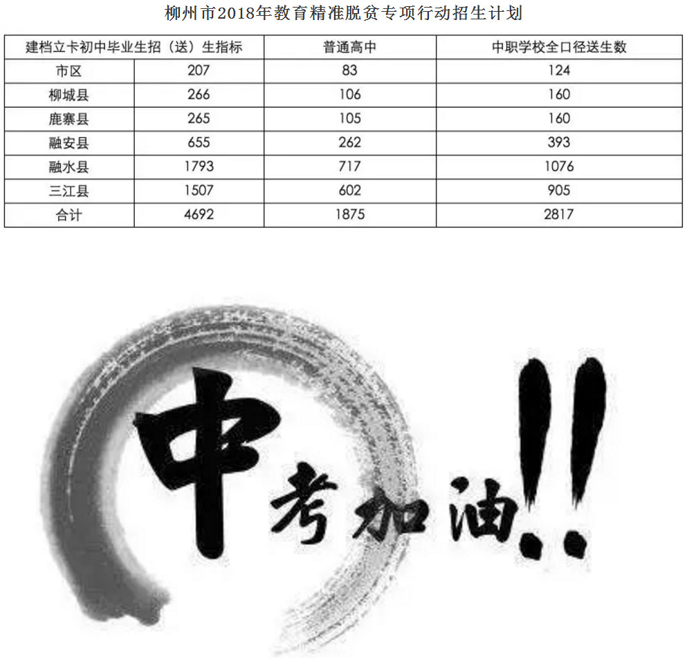 广西柳州中考成绩最新动态，分析与观点论述