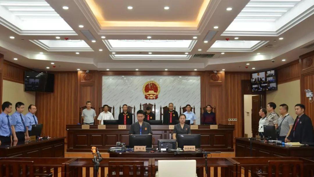 检察民事公益诉讼最新论述概览