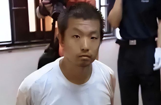 杨佳案最新揭秘，深度探究案件细节与真相