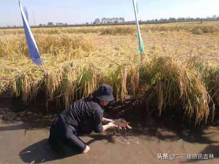 大赢物联 第138页
