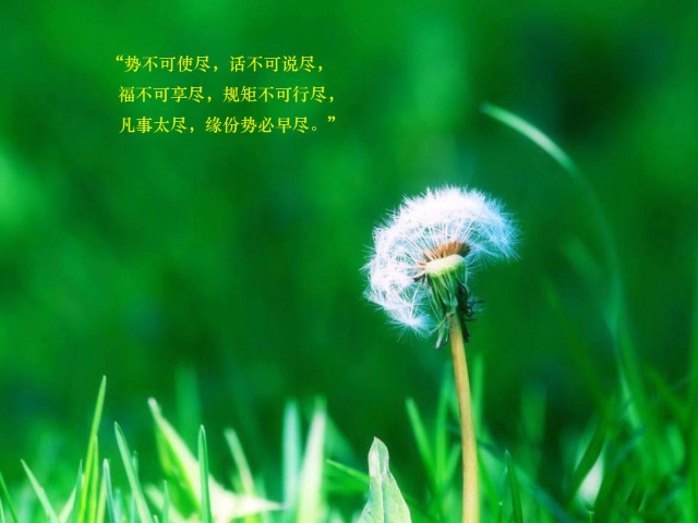 蕊希最新语录，与自然美景的邂逅，探寻内心平和之旅
