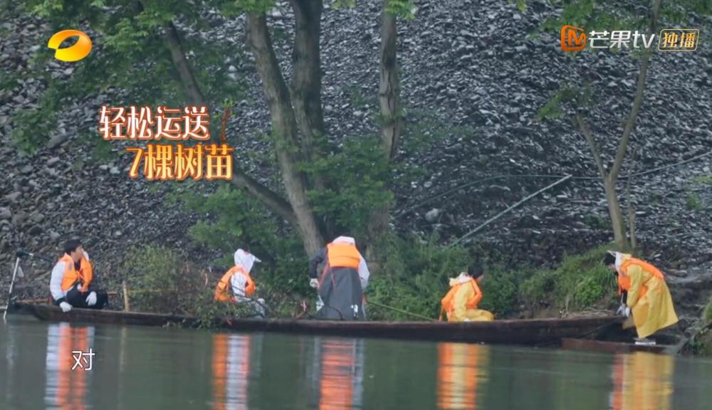 灯花笑最新更新，创意之光照亮生活