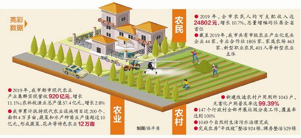 新圩最新项目，点燃希望之光，成就未来新星