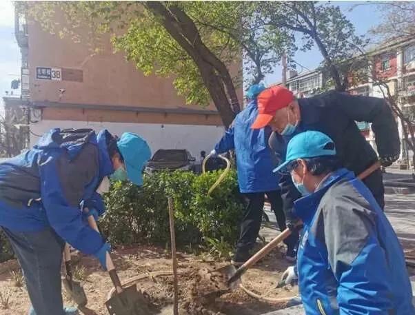全球最新疫情动态与小巷深处的风味探索之旅