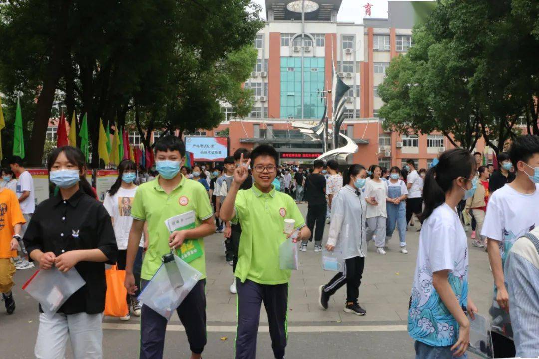 木薯粉价格行情动态，学习中的自信与成就之力