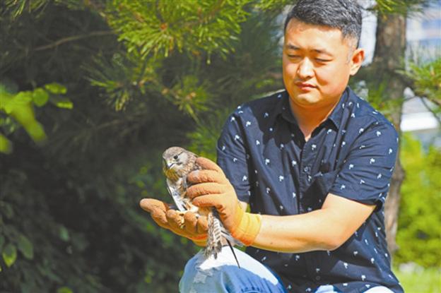 滦南最新招聘信息平台，与自然共舞，寻找内心的宁静职位