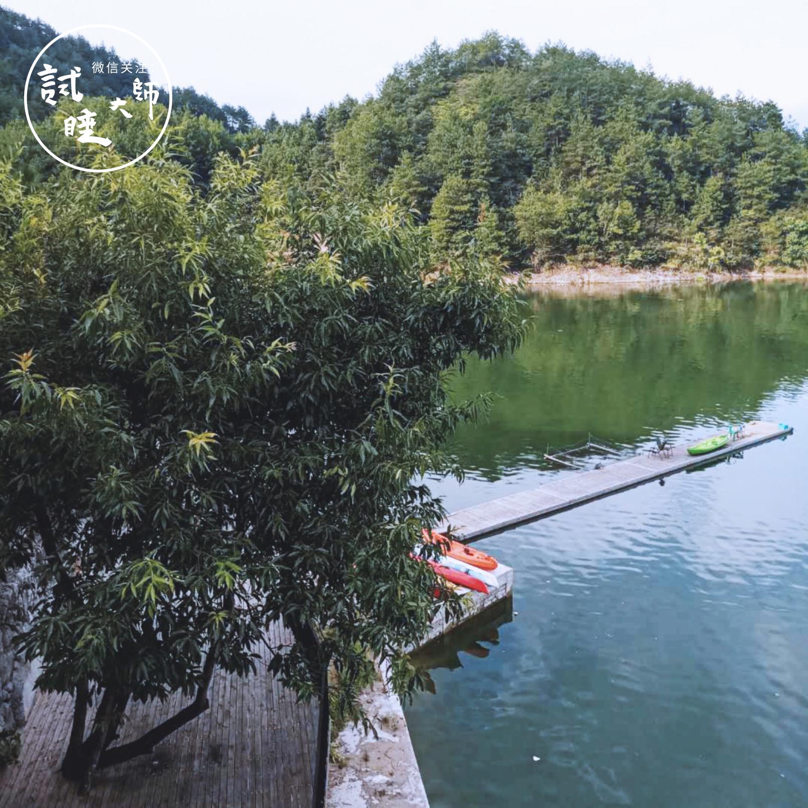 千岛湖茶叶价格探索，与自然美景对话，探寻内心宁静之道