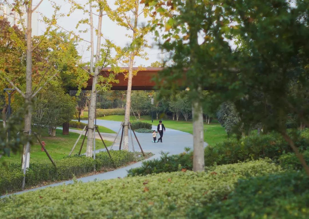 交通部新规发布，启程探索自然美景，寻找心灵宁静之地