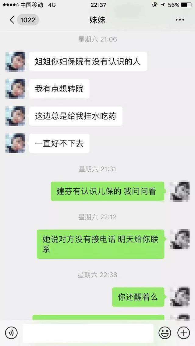 绍兴动物园最新动态揭秘，巷弄中的隐藏宝藏，独特环境吸引无数目光