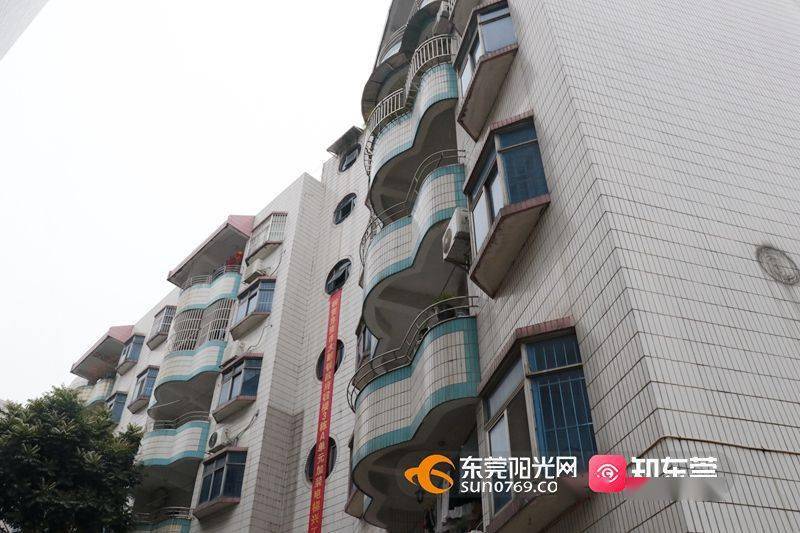 东莞最新住宅信息探秘，小巷中的隐藏宝藏