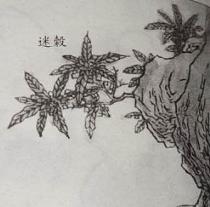 丽水最新资讯，励志之光照亮未来，学习成就自信辉煌之路