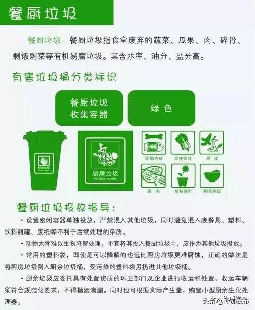 揭秘资讯背后的秘密世界，垃圾池资讯探索之旅！