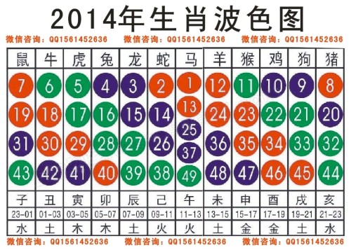 2025十二生肖49码表,快速问题处理_Allergo版(意为轻快)51.424