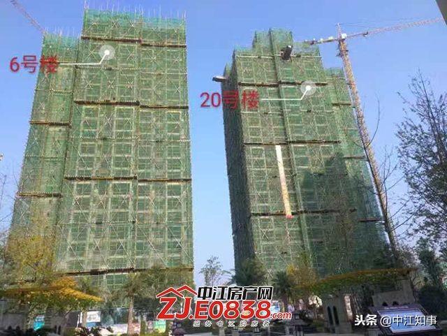 中江公园一号最新动态与观点聚焦分析