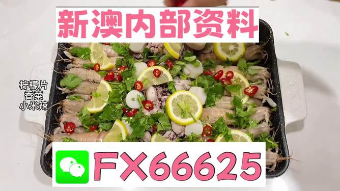 新澳精准资料免费提供最新版,社会责任实施_动态版51.492