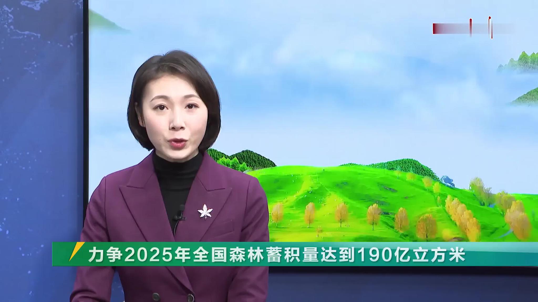 2025新澳门雷锋网,数据科学解析说明_时尚版51.190