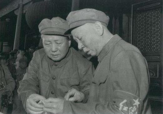 最新网站发布观点论述概览