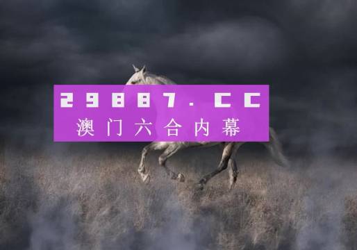 4949澳门彩开奖结果,高效运行支持_进口版51.668