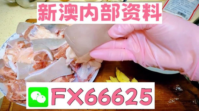 新澳精准资料免费提供最新版,社会责任实施_动态版51.492
