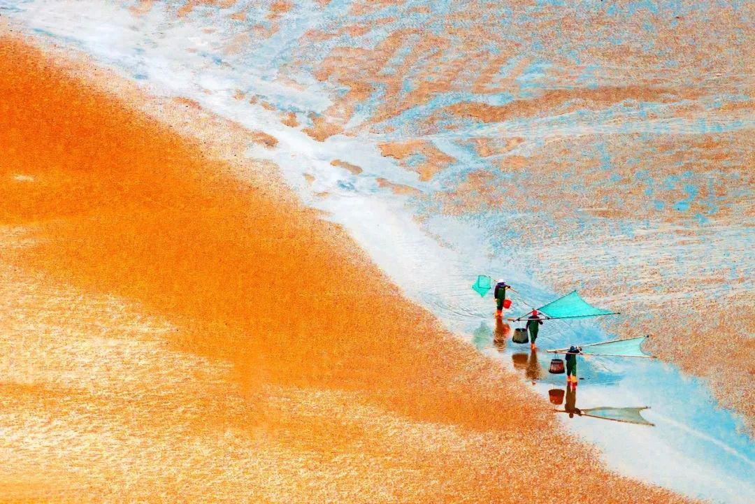 橡胶行情与自然美景的双重探索，心灵之旅启程