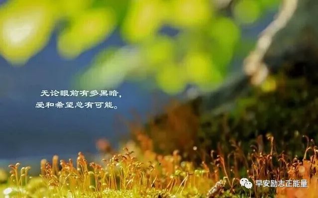 最新励志语句，与自然美景的不解之缘，激发前行动力