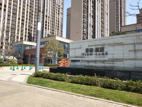 市场动态与趋势分析