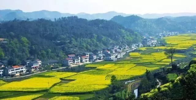 光相乡开发最新动态，时代步伐与乡村蜕变同步进行