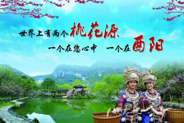 星友新版本，自然美景的治愈之旅探索之旅