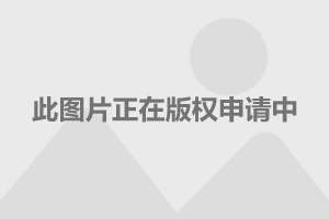 邮轮环游世界之旅，揭秘180天价位的多元解读与价格解析