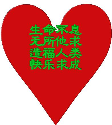 电影平凡岁月的魅力，自然美景的心灵之旅之旅的魅力。