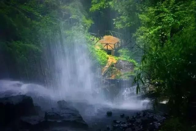 池鱼价格，与自然美景的旅行邂逅，探寻内心的宁静与愉悦