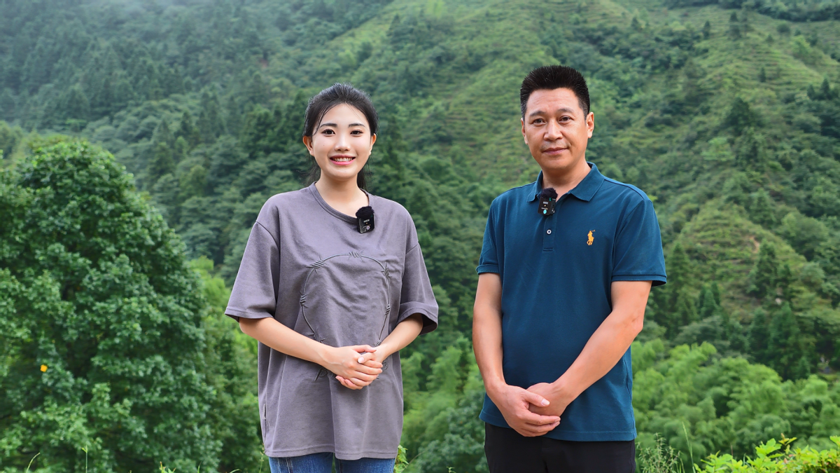 王泽清演员，心灵之旅，探寻自然美景与内心宁静的喜悦