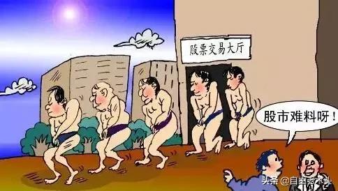中华企业股票投资，价值与风险分析指南