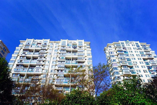 辛集个人房屋出租市场现象解读与多元观点探讨