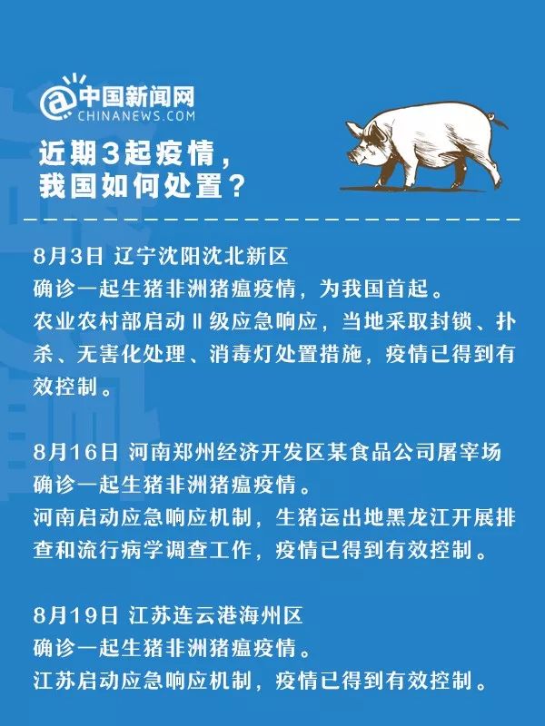 非洲猪瘟最新动态，背景、进展与影响全解析