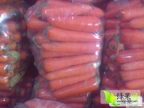红萝卜最新行情，科技引领生活，价格行情尽在掌握