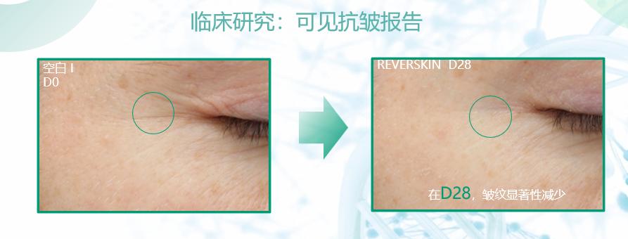 最新环保法规引领绿色变革，自信步伐中的环保行动号角